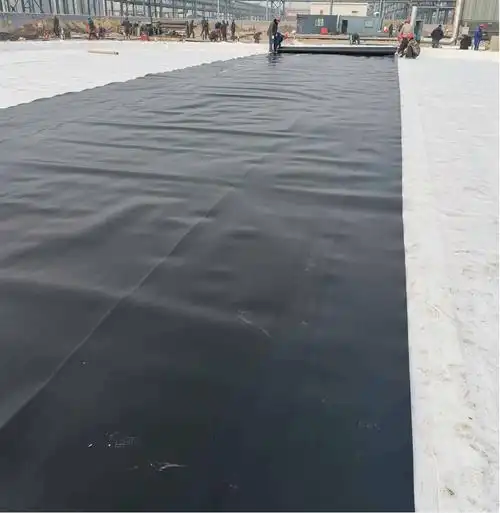 1745805967106.jpg